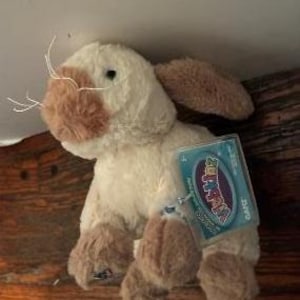 Puede incluir: Un juguete de peluche con forma de conejo de pelaje color crema y detalles en marrón claro en las orejas, la nariz y las patas. El conejo tiene largos bigotes blancos y una etiqueta rectangular azul en el brazo con el texto Webkinz y Ganz.