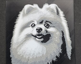 Pomeranian 3D Hueforge Fan Art