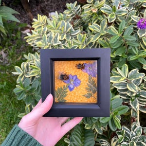 Peut inclure: Une petite œuvre d'art encadrée représentant des fleurs pressées et une abeille sur un fond jaune. Le cadre est noir et les fleurs sont violettes.
