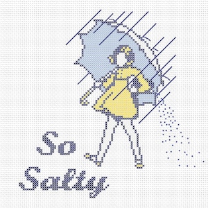 So Salty Counted Cross Stitch Pattern Instant Download