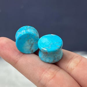 May include: A pair of circular ear plugs featuring a bright turquoise blue color with natural brown veining patterns throughout the stone surface. The plugs have a smooth, polished finish and a concave shape along the sides for a secure fit.