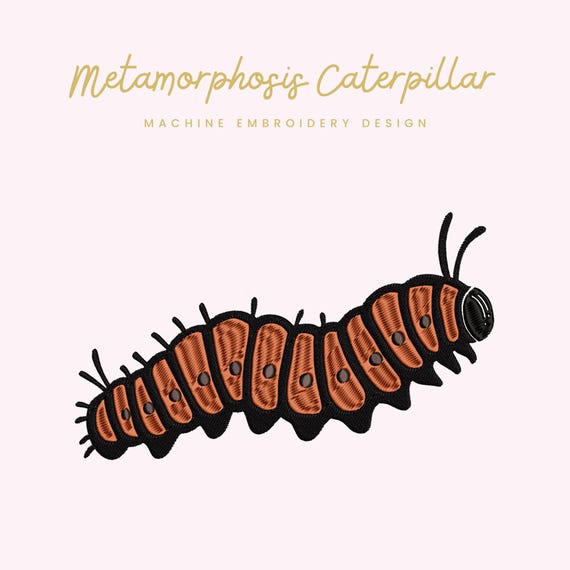 Metamorphosis Caterpillar Embroidery File |  Digital Download for Machine Embroidery | 6 Sizes | Insect Stitch File • Nature and Growth