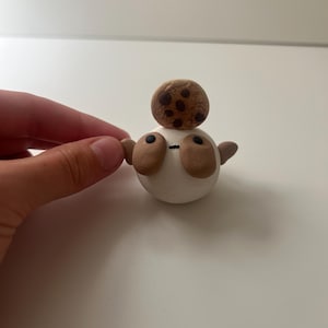 cookie fishy desk friend