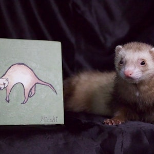 Custom Ferret Portrait