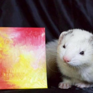 May include: A white ferret with black markings on its head and back is looking at a small canvas painting with red, yellow, and orange abstract art.