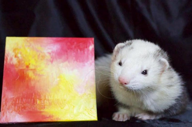 May include: A white ferret with black markings on its head and back is looking at a small canvas painting with red, yellow, and orange abstract art.