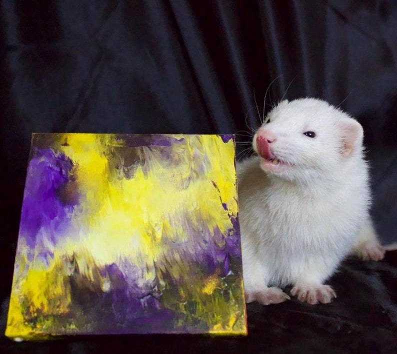 May include: A white ferret with pink nose and black eyes looks at a small abstract painting with yellow, purple, and black paint. The painting is on a canvas.