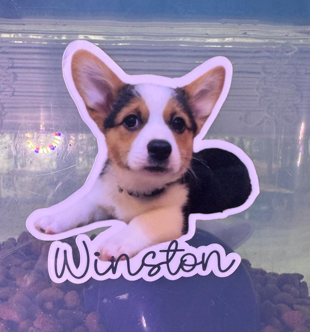 Dog Name Sticker Design Personalized Pet Photo Name Stickers for Pets Doggie Daycare Labels for ...