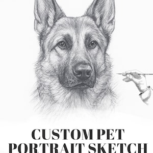 Custom Pet Portrait Sketch, Personalized Dog or Cat Drawing, Hand Drawn Animal Illustration, Digital Pet Memorial Gift
