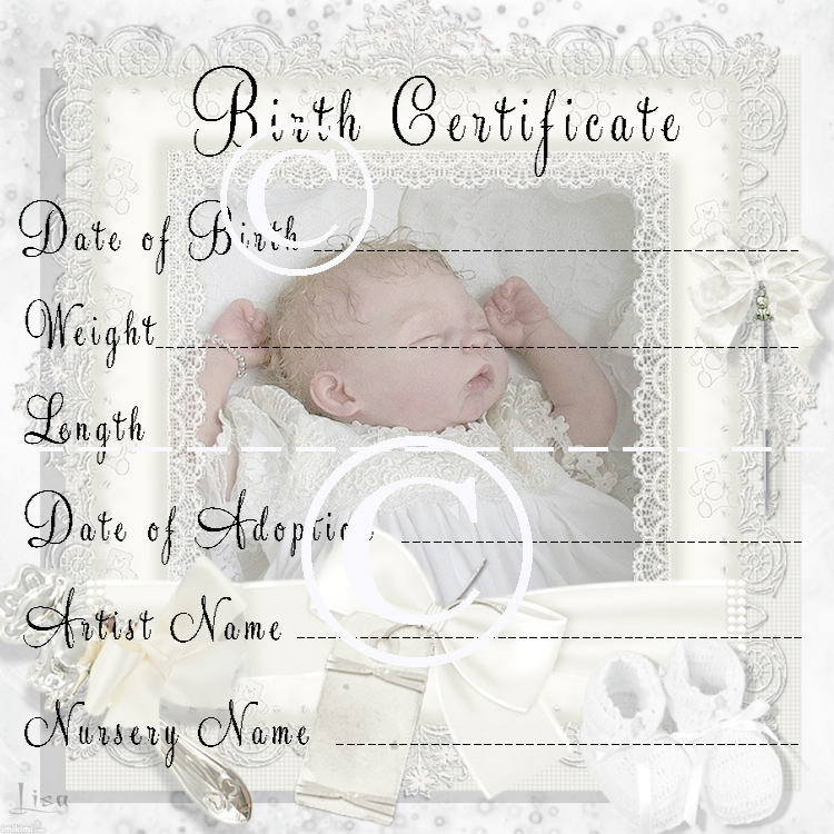 Reborn Baby Doll Birth Certificate Instant Download To ...
