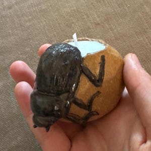 May include: A handcrafted beetle-shaped candle holder, featuring a dark brown body and a tan shell. The candle is white, and the wax is light blue. The candle holder is held in a hand.