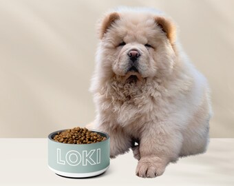 Custom Dog Bowl, Stainless Steel Pet Bowl, Personalized Dog Bowl, Custom Pet Bowl, Pet Bowl With Name, Dog Bowl With Name, Small Pet Bowl