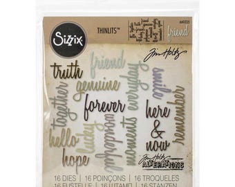 Sizzix Thinlits Dies - #660225 - "Friend" 16 piece set by Tim Holtz , friendship words