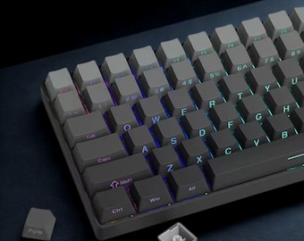 Gray Keycaps Set Side Print RGB Shine Through PBT Double Shot Oem Profile for Mx Mechanical Keyboards 60 65 75 84 87 100 104 108 ANSI iso