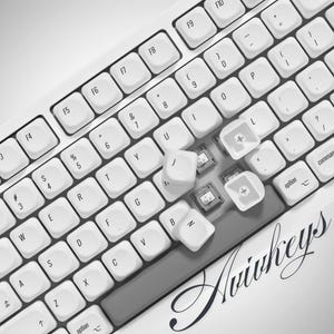 Könnte beinhalten: Eine weiße mechanische Tastatur mit mehreren entfernten Tastenkappen, die die darunter liegenden Schalter freilegen. Die Tastatur hat eine graue Leertaste und den Markennamen "Avivkeys" in Schreibschrift.