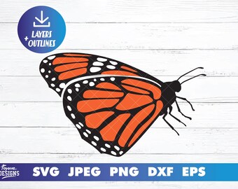 Butterfly svg | monarch butterfly | butterfly clipart | butterfly tshirt svg | Cricut Svg Files