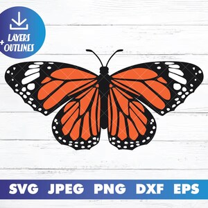 Butterfly SVG | Monarch butterfly Clipart | Layers and Outline for Cricut and Silhouette
