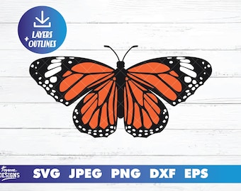 Butterfly SVG | Monarch butterfly Clipart | Layers and Outline for Cricut and Silhouette