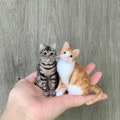 Custom Needle Felted Cat Sculpture Memorial, Realistic Wool Cat Figurine, Personalized Cat Portrait, Pet Loss Keepsake, Gift for Pet Owner