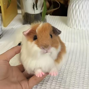 Felted Long-Haired Guinea Pig Replica, Custom Needle Felted Guinea Pig Memorial, Handmade Guinea Pig Sculpture, Pet Loss Gift