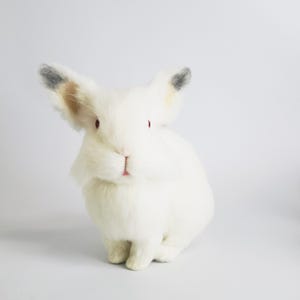 Custom Felted Bunny Sculpture – Realistic Needle Felt Rabbit – Handmade Bunny Figurine – Pet Loss Memorial – Felt Animal Keepsake
