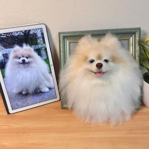 Custom Needle Felted Dog Replica - Handmade 3D Pet Memorial Frame - Wool Dog Keepsake