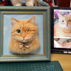 Custom Needle Felted Cat Sculpture, Handmade 3D Pet Memorial Frame, Felt Wool Pet Portrait, Realistic Wool Cat Replica, Pet Loss Gift