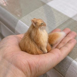 Pode incluir: Uma miniatura de gato laranja-castanho com uma cauda e pelo fofo, sentado numa m&atilde;o em concha. O gato tem orelhas pequenas e pontudas e olhos verdes. O fundo &eacute; um padr&atilde;o xadrez.