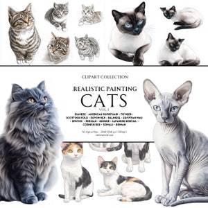 Coleção de vários gatos - ilustrados em alta resolução - hiper-realistas - siameses, persas, gatos de pelo curto americano, esfinge, birmanês etc.