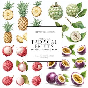 30 Set of Tropical fruit clip-arts  - Coconut, Mango , Pineapple, Watermelon, passion fruit, rambutan and more - PNG format - Transparent