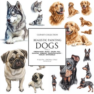 40 SET van verschillende honden clipart - Siberische husky, beagle, Golden, Mopshond, Dalmatiër, Dobermann, Napolitaanse mastiff, Papillon, Newfoundland en meer