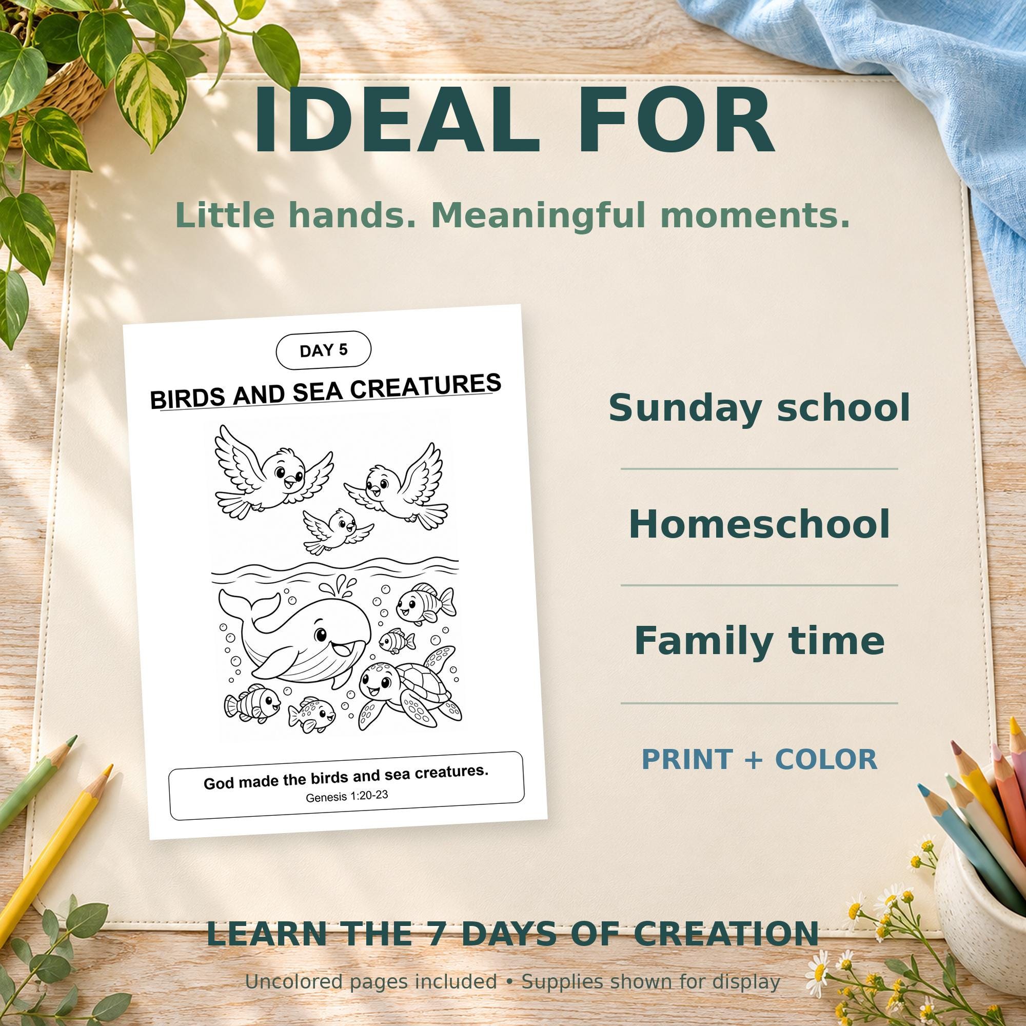 7 Days of Creation Coloring Pages, Bible Printable for Sunday School, A4 and US Letter PDF and PNG · vista 4
