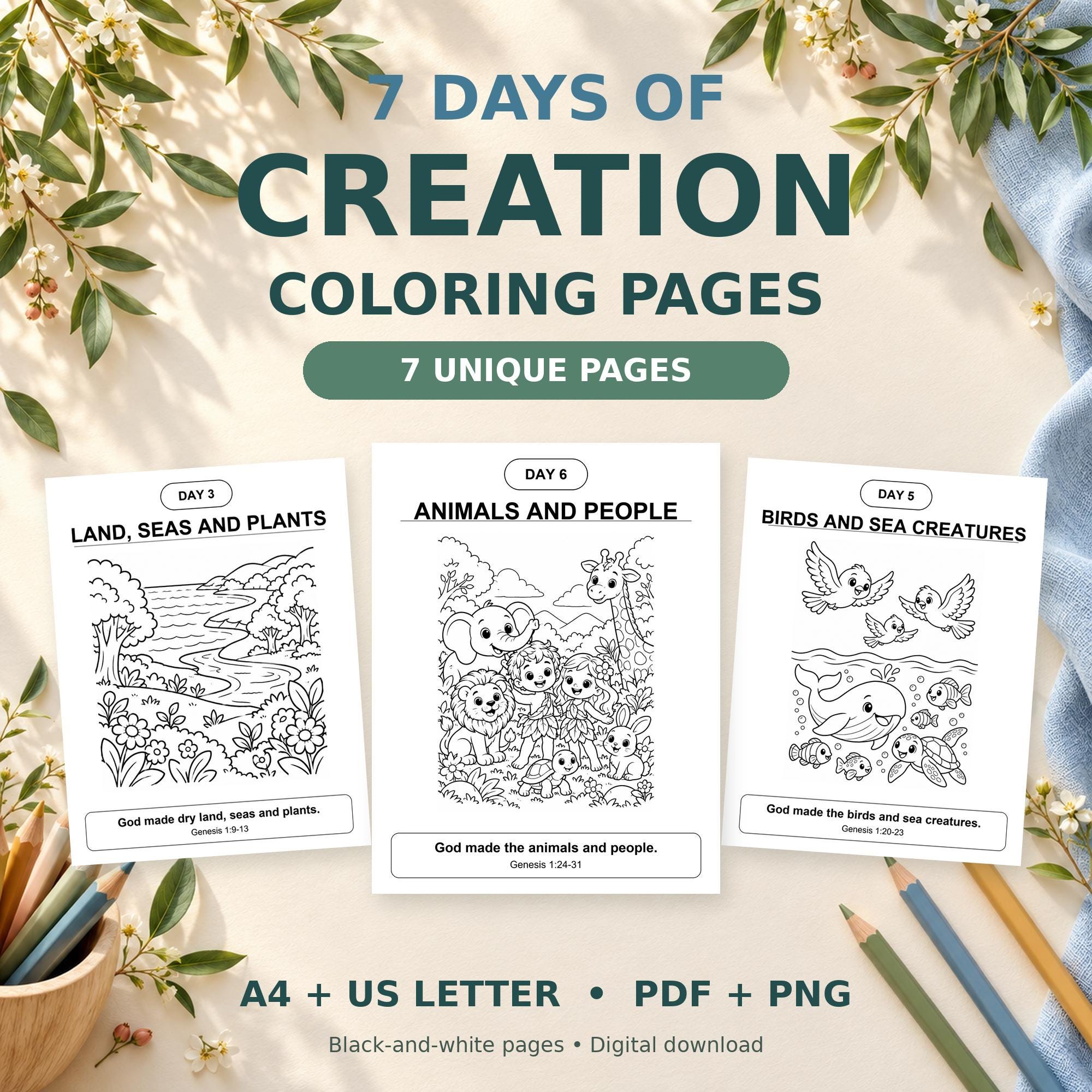 7 Days of Creation Coloring Pages, Bible Printable for Sunday School, A4 and US Letter PDF and PNG