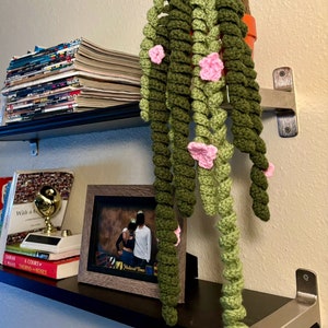 Crochet Plant Decor, Crochet Succulent, Hanging Donkey Tail