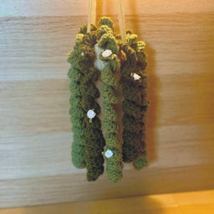 Crochet Plant Decor, Crochet Succulent, Hanging Donkey Tail