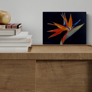 Bird of Paradise Colorful Tropical Flower Wall Art - Strelitzia, Pride of Barbados or Peacock Flower