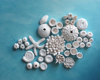 Create your Own DIY 3D Coral Wall Installation - Coral Reef Wall Sculpture Nautical Ocean Wall Art