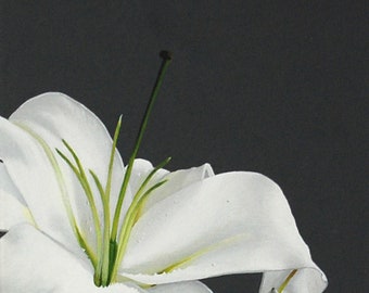 White Lily Painting Flower Wall Art