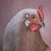 Amy Faubl reviewed Chicken Painting - Hen Painting, Bird Painting, Original Painting, Oil Painting, Wildlife Painting, Nature Wall Art