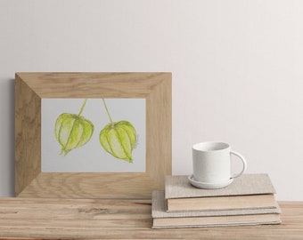 Green Chinese Lanterns or Physalis Small Original Painting & Pencil Kitchen Wall Art Decor