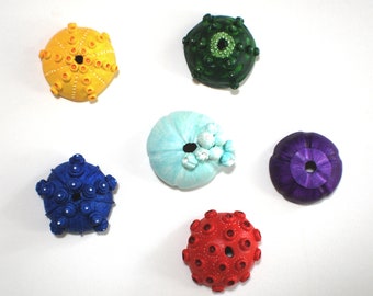 Clay Sea Urchins Ocean Decor - Shelfies Colorful Ocean Sculptures Tabletop Ornaments or Wall Hangings