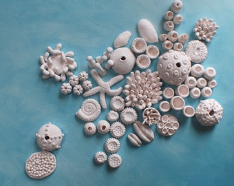 3D Coral Wall Installation - Create your Own Coral Reef Wall Sculpture Nautical Ocean Wall Art