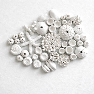 Ocean Sealife Reef Wall Art -  Coastal Beach Decor - DIY Coral Reef Installation, 50 Elements