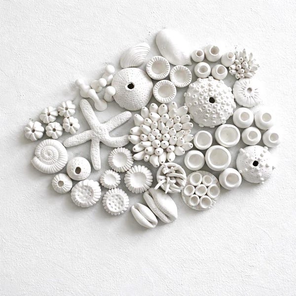 Ocean Sealife Reef Wall Art -  Coastal Beach Decor - DIY Coral Reef Installation, 50 Elements