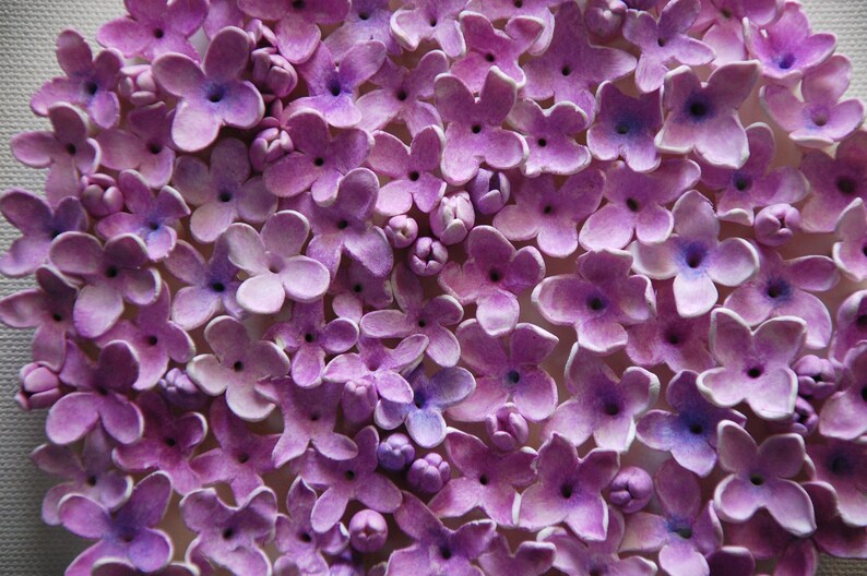 May include: A close-up of a cluster of purple paper flowers. The flowers are arranged in a circular pattern and have a slightly textured surface.