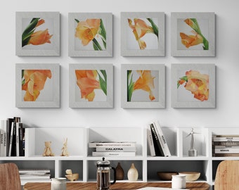 Gallery Wall Art - Gladiolus Flower Paintings Set of 8 Installation of Orange Gladioli Paintings