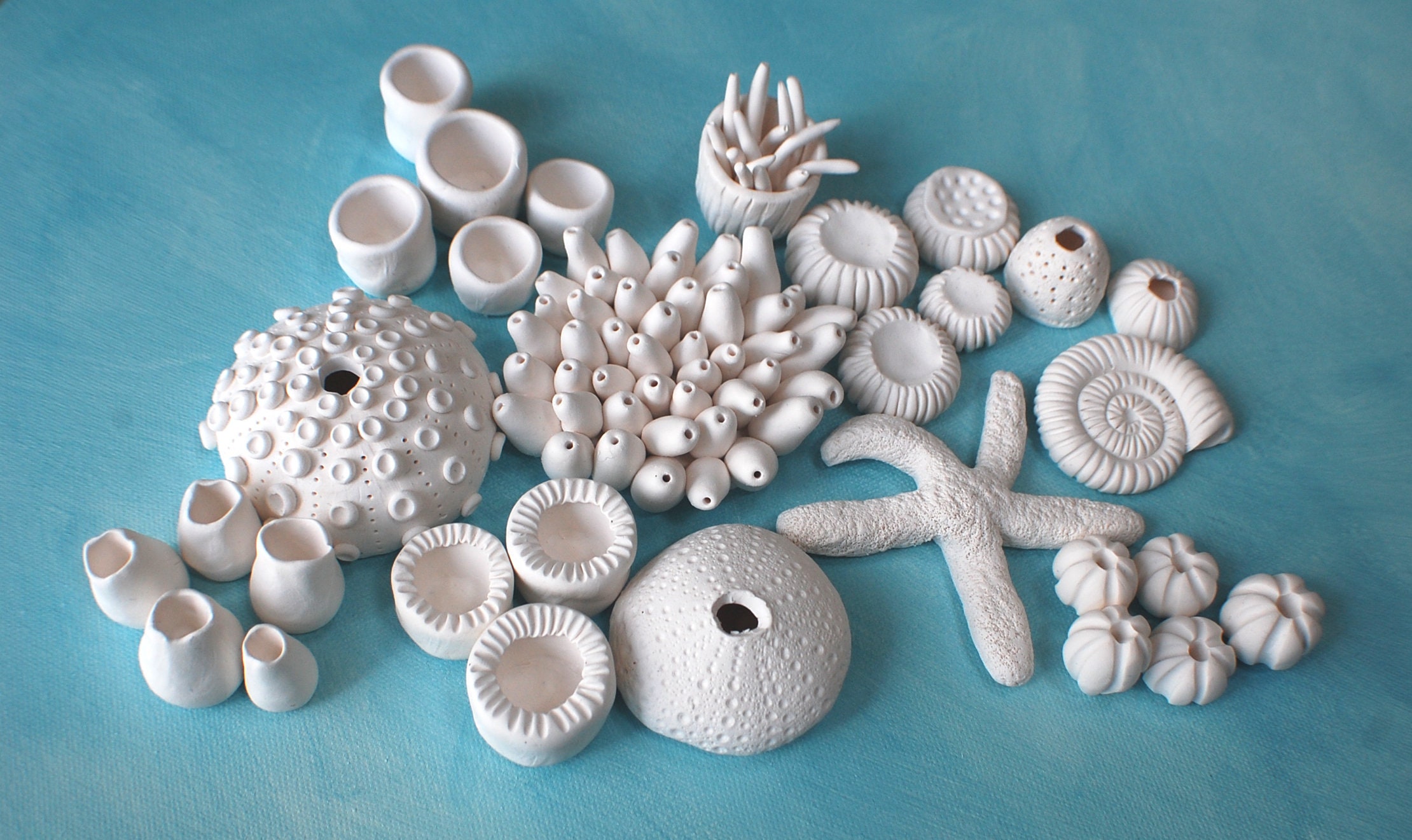 Coral Reef Wall Sculpture Create Your Own DIY 3D Coral Wall Installation  Nautical Ocean Wall Art 