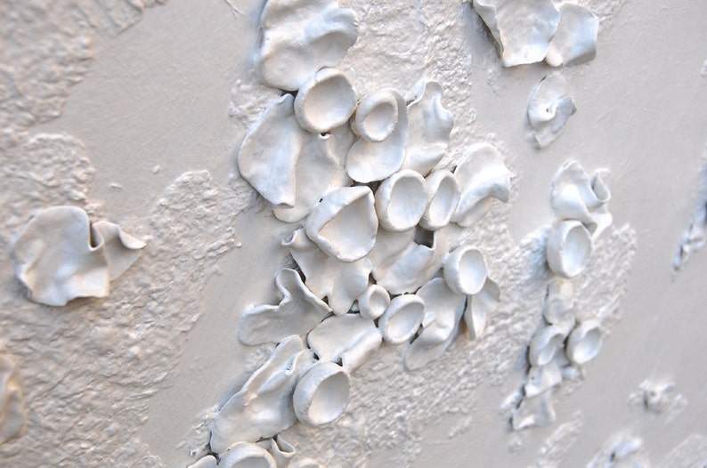 Lichen Art 3 Dimensional Wall Art White on White Textured Art on Wood Panel Decor for Home Inspired by Nature image 1