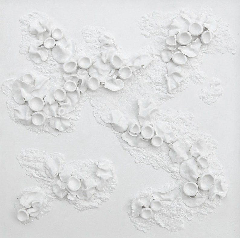 Lichen Art 3 Dimensional Wall Art White on White Textured Art on Wood Panel Decor for Home Inspired by Nature image 9