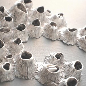 Puede incluir: Primer plano de una escultura de cer&aacute;mica blanca texturizada que se asemeja a un grupo de corales o percebes.